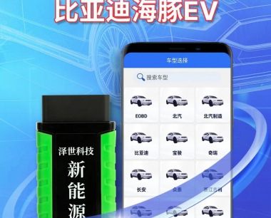 【實測車型】比亞迪海豚 EV 整車檢測，雲電慧眼來(lái)加持
